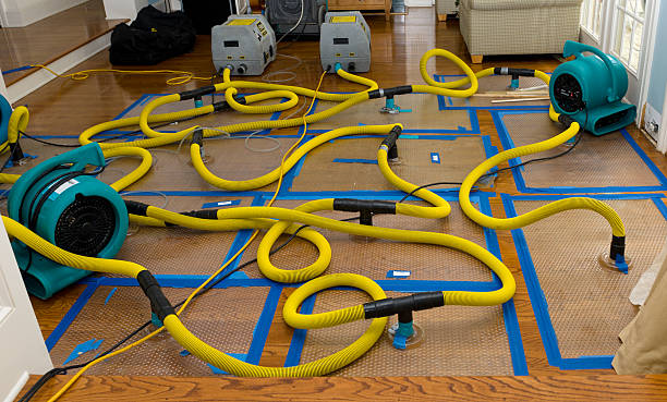 Professional Sewage Cleanup technician working in Santa Ana, CA